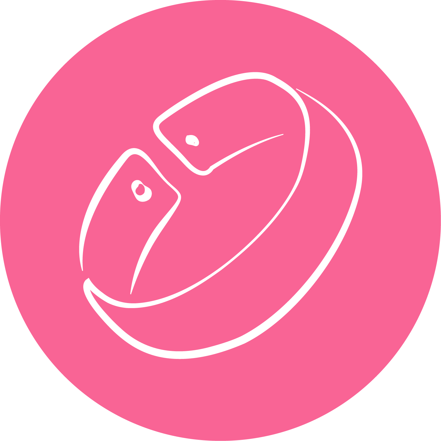Brazalete